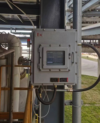 RTO LEL可燃?xì)怏w監(jiān)測(cè)儀