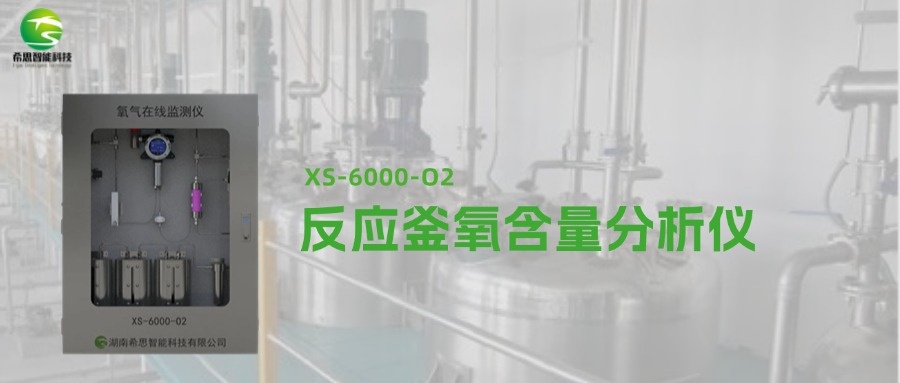 反應(yīng)釜氧含量分析儀的應(yīng)用