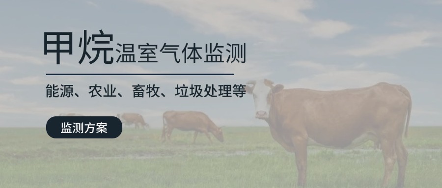 湖南省甲烷排放控制政策下的氣體在線監(jiān)測儀應(yīng)用分析