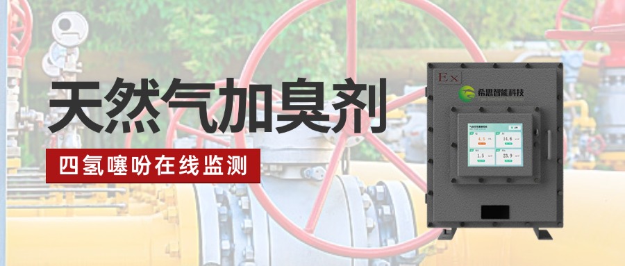 天然氣行業(yè)加臭劑四氫噻吩在線監(jiān)測儀的應(yīng)用