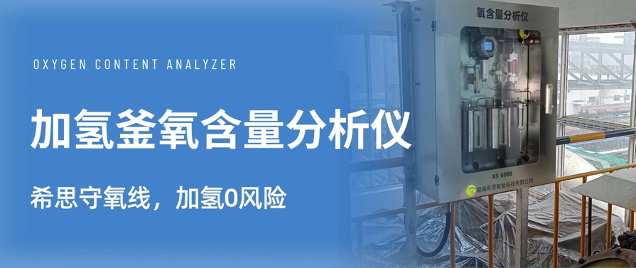 加氫釜氧含量分析儀行業(yè)應(yīng)用落地，選對(duì)設(shè)備才靠譜！